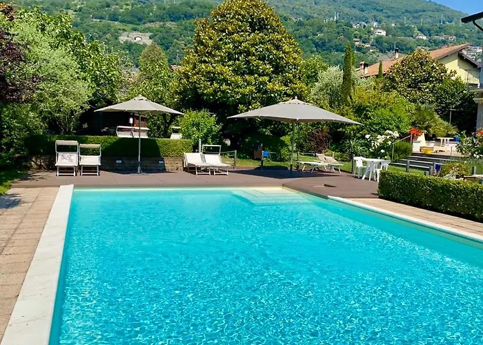 Iris 1 Di * ドンゴ